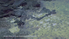 ���Ǳˮ��4829�׺��׷������ع�������